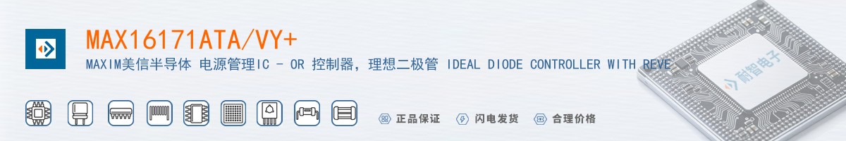 MAX16171ATA/VY+������