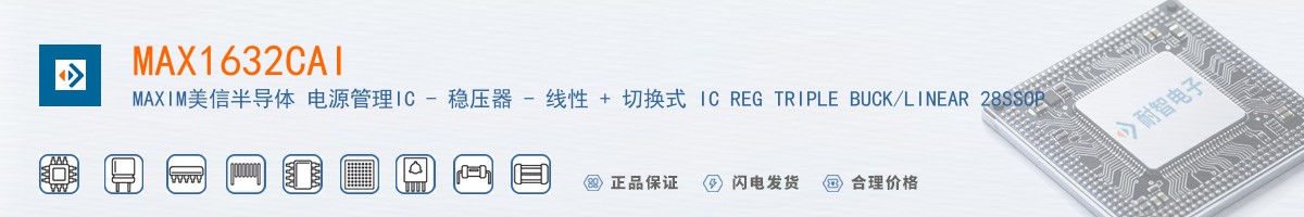 MAX1632CAI������
