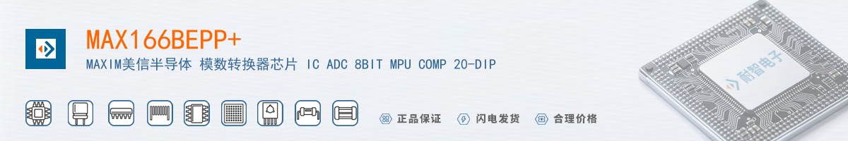 MAX166BEPP+������