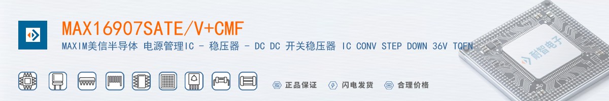 MAX16907SATE/V+CMF������