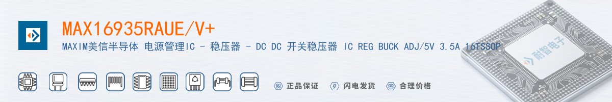MAX16935RAUE/V+������