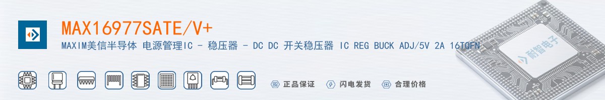 MAX16977SATE/V+������