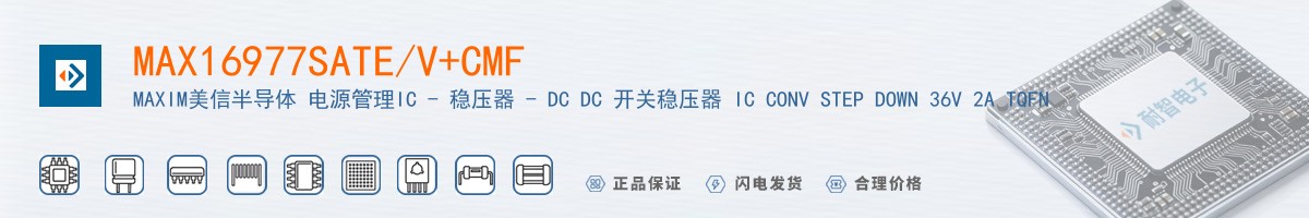 MAX16977SATE/V+CMF������