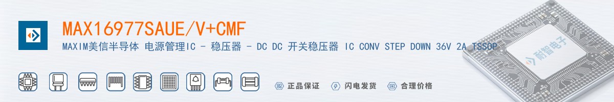 MAX16977SAUE/V+CMF������