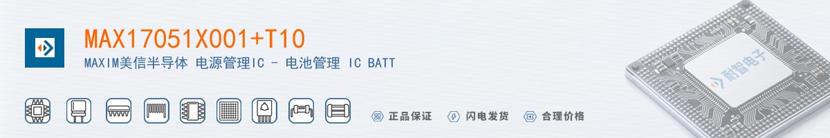 MAX17051X001+T10������