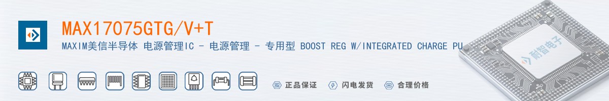 MAX17075GTG/V+T������