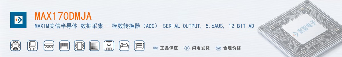 MAX170DMJA������