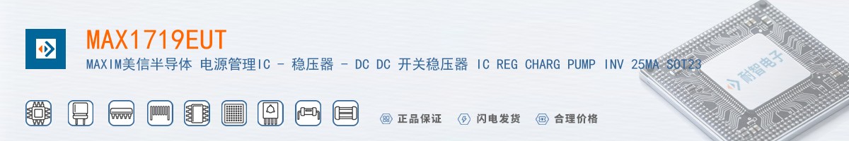 MAX1719EUT������