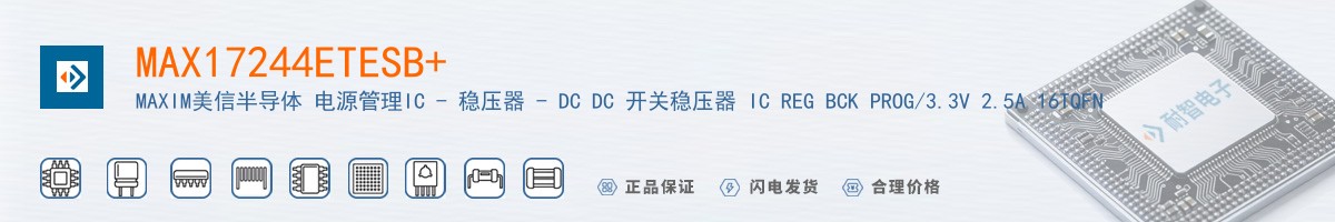 MAX17244ETESB+������