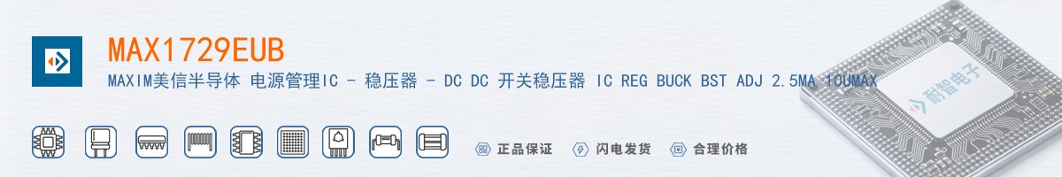 MAX1729EUB������