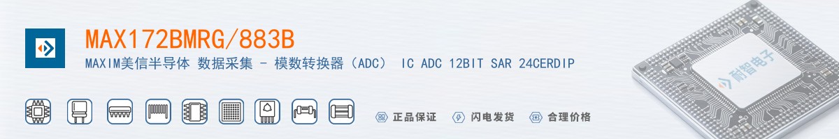 MAX172BMRG/883B������