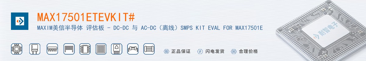 MAX17501ETEVKIT#������