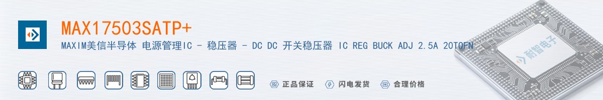 MAX17503SATP+������