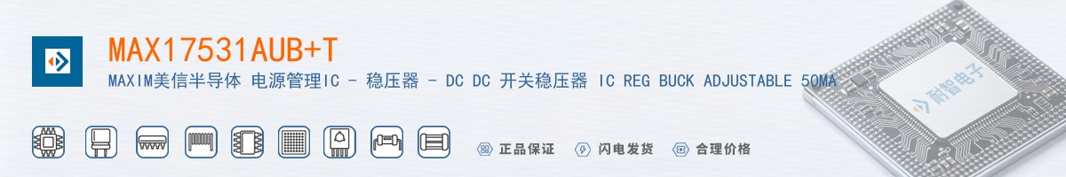MAX17531AUB+T������