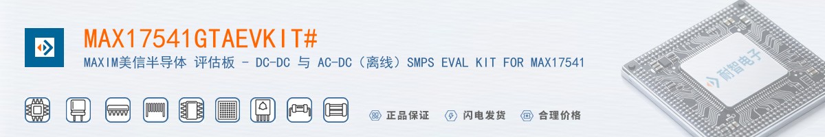 MAX17541GTAEVKIT#������