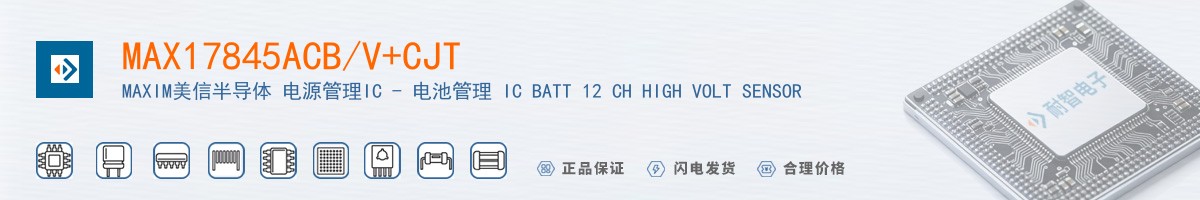 MAX17845ACB/V+CJT������