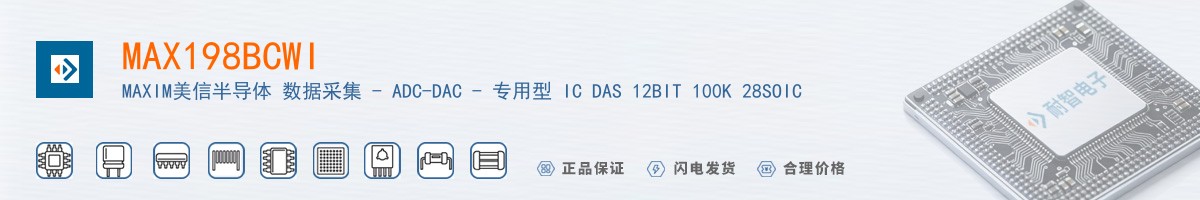 MAX198BCWI������