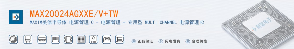 MAX20024AGXXE/V+TW������