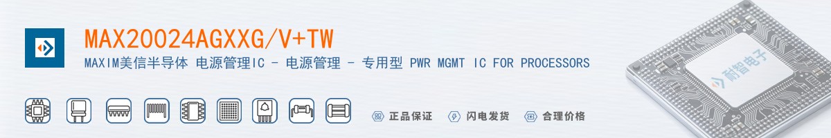 MAX20024AGXXG/V+TW������