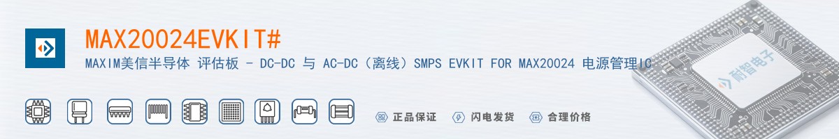 MAX20024EVKIT#������