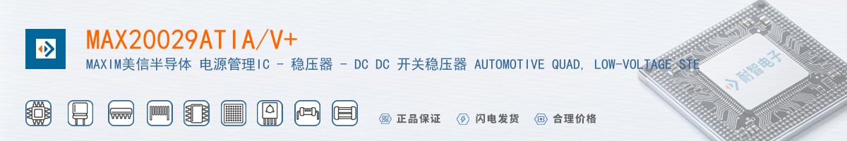 MAX20029ATIA/V+������