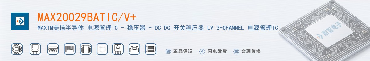 MAX20029BATIC/V+������