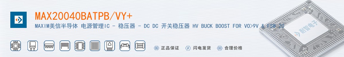 MAX20040BATPB/VY+������
