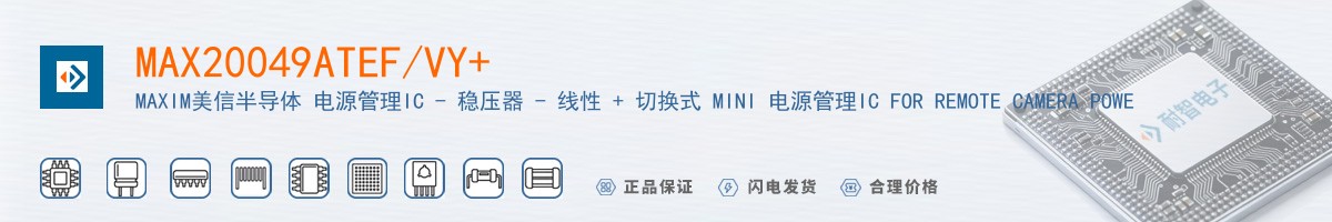MAX20049ATEF/VY+������