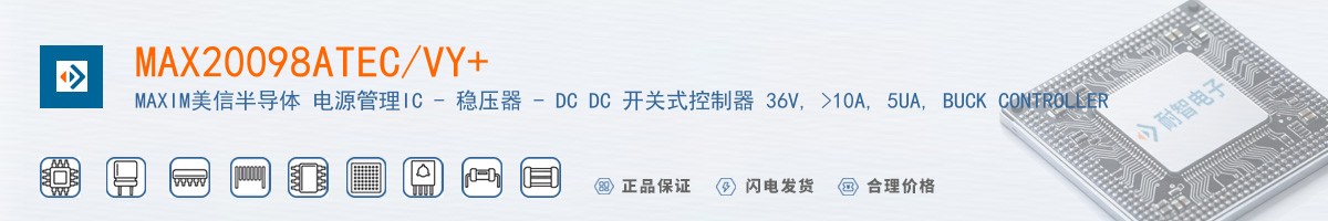 MAX20098ATEC/VY+������
