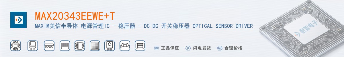 MAX20343EEWE+T������
