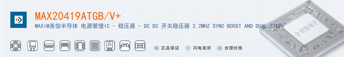 MAX20419ATGB/V+������