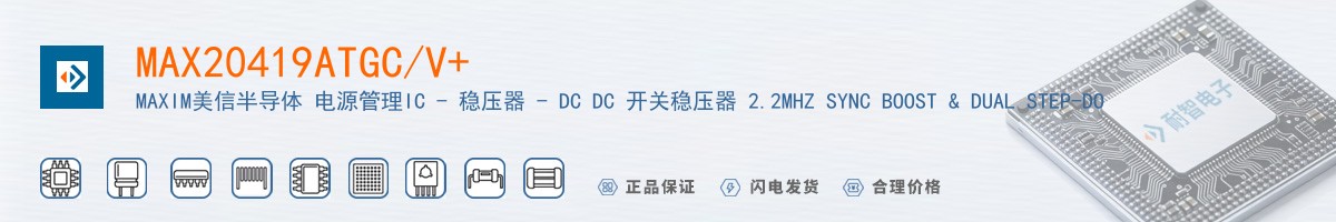 MAX20419ATGC/V+������