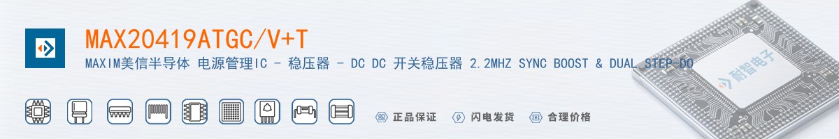 MAX20419ATGC/V+T������