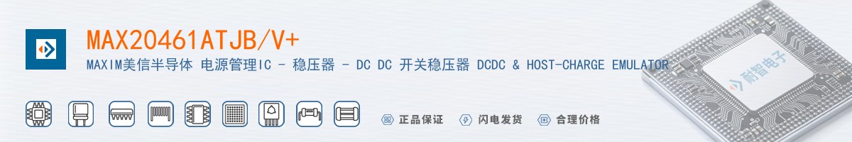 MAX20461ATJB/V+������