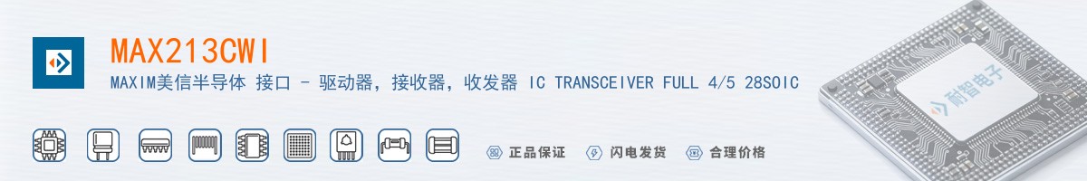 MAX213CWI+������