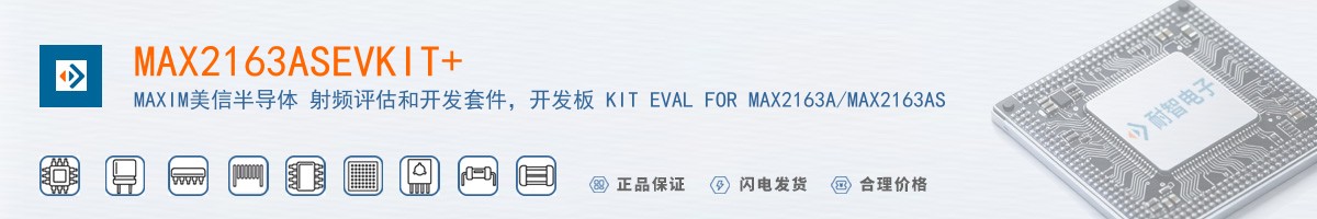MAX2163ASEVKIT+������