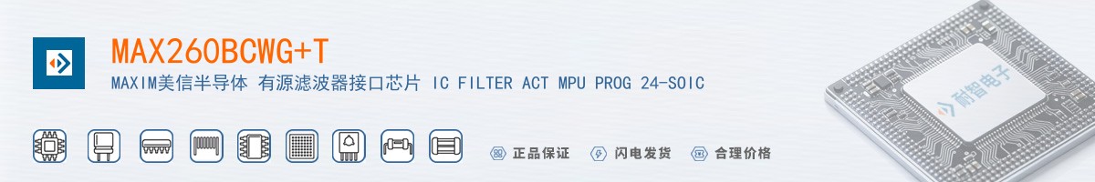 MAX260BCWG+T������