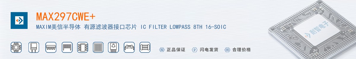 MAX297CWE+������
