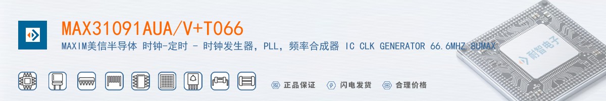 MAX31091AUA/V+T066������