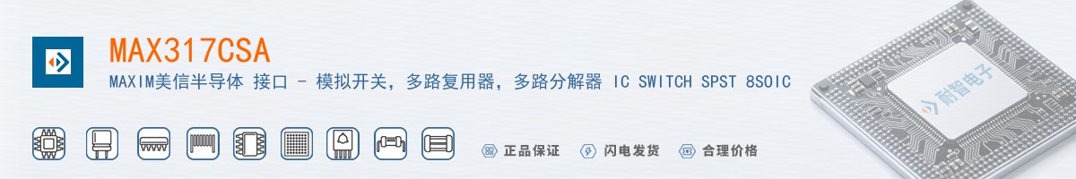MAX317CSA������