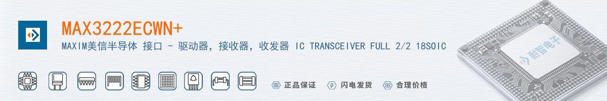 MAX3222ECWN+������