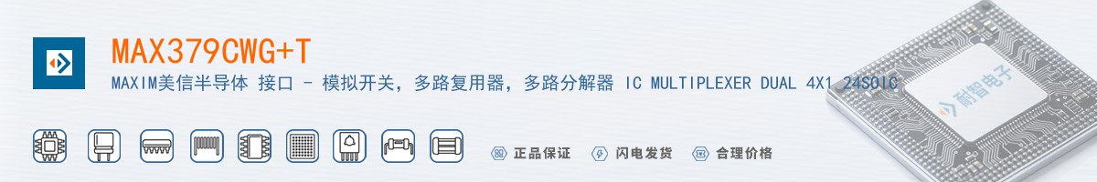 MAX379CWG+T������