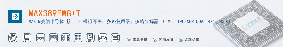 MAX389EWG+T������