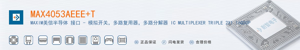 MAX4053AEEE+T������