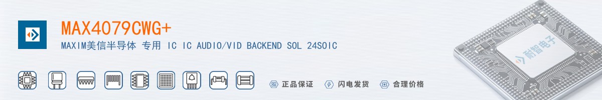 MAX4079CWG+������