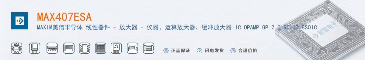 MAX407ESA������