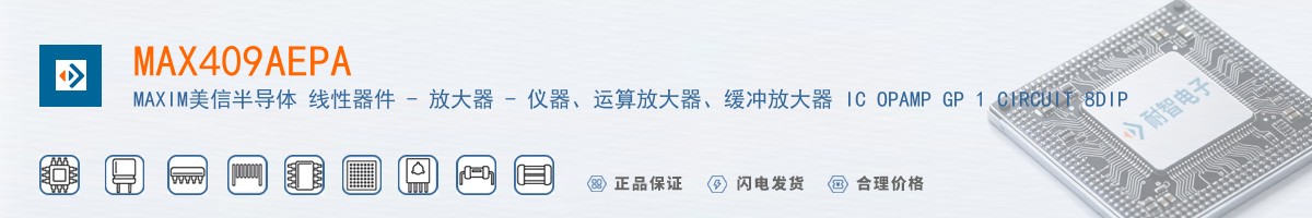 MAX409AEPA������