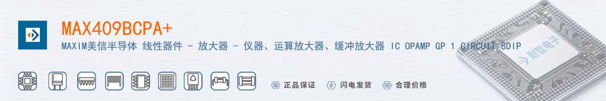 MAX409BCPA+������