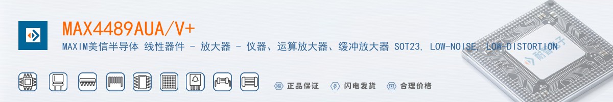 MAX4489AUA/V+������