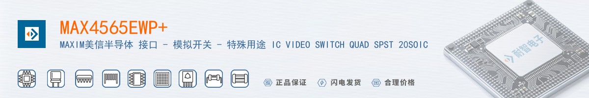 MAX4565EWP+������